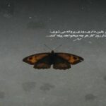 دانلود آهنگ نفهمیدم زندگی رو و خوبیاش مال بهترونه حتما از علی یاسینی پوری دانلود آهنگ نفهمیدم زندگی رو و خوبیاش مال بهترونه حتما از علی یاسینی پوری